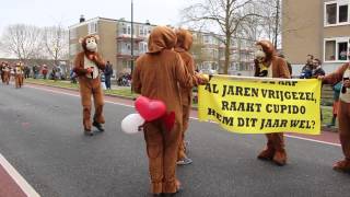 preview picture of video 'Carnaval Apestad Ijsselstein 14022015'