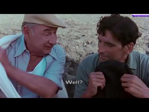 Il Postino: The Postman - Metaphor