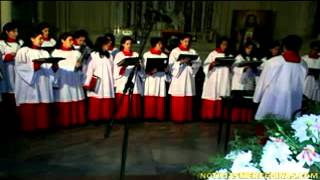 Queremos pastel -Molotov