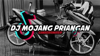 Download lagu DJ MOJANG PRIANGAN (Slowed & Reverb) Viral Tiktok 2025 mp3