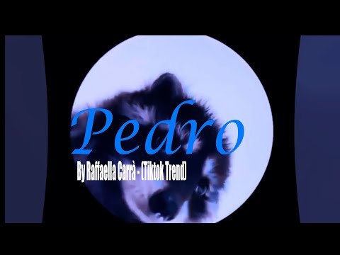 Pedro - by Raffaella Carrà - (Tiktok Trend remix) - (lyrics)