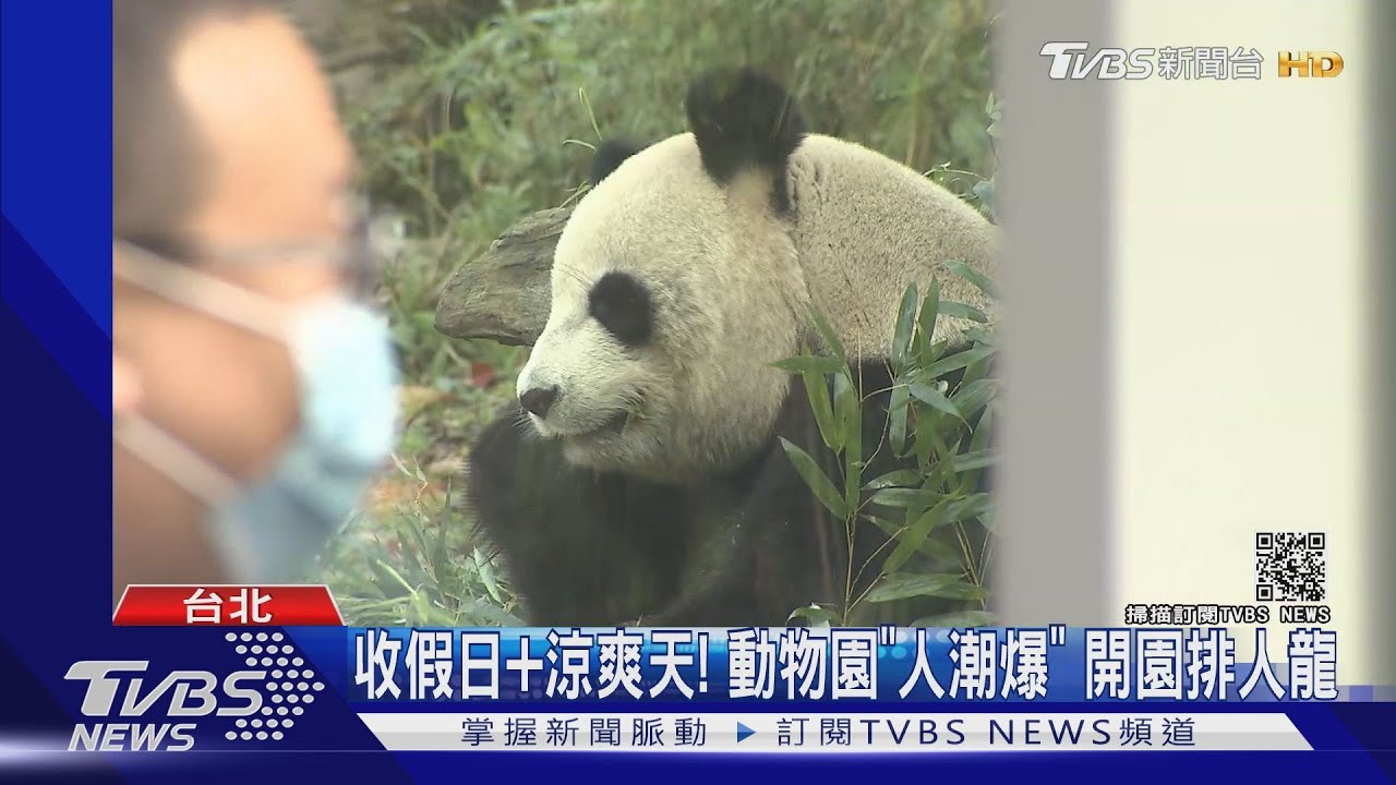 收假日+涼爽天!動物園「人潮爆」 開園排人龍
