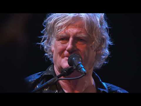 MADEMOISELLE (Rodolphe Burger, Sofiane Saidi, Mehdi Haddab) - Live @Banlieues Bleues (extrait)