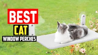 ✅Top 5 Best Cat Window Perches of 2025