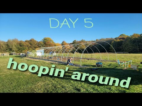 greenhouse build day 5 |  DIY greenhouse  |  chain link pole greenhouse  |  husband & wife build