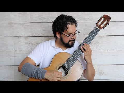 Zambra Granadina, I. Albéniz - Ricardo Saeb, guitar