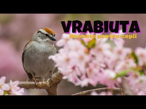 VRABIUTA | EP.14 | poveste populara | POVESTI PENTRU COPII #povestipentrucopii