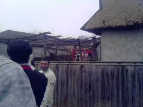 turci din carapcesti by dory