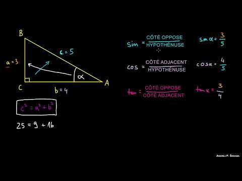 Les Bases des Fonctions Trigonométriques