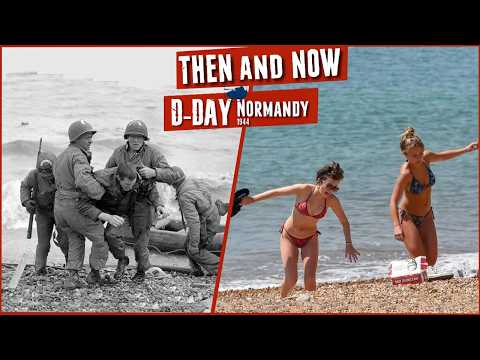 Panzer Picture and Track Links 360