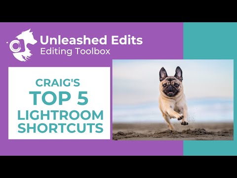 Craig's Top 5 Lightroom Shortcuts / Dog Photography Editing