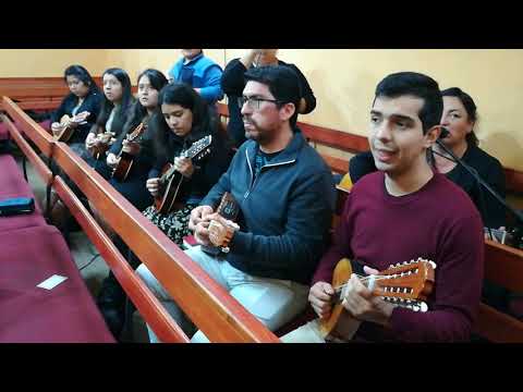 Volverá video