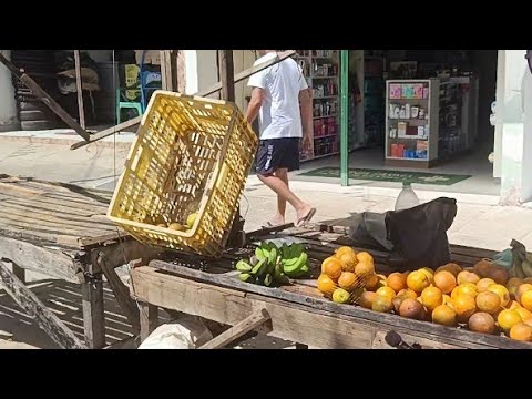 Part. 04 - Muito Boa a Feira de Colônia Leopoldina, Alagoas