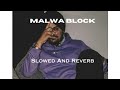 MALWA BLOCK (slowed and reverb) - SIDHU MOOSE WALA | MOOSETAPE