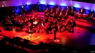 Anne Clark - Heaven (live in Leipzig, Gewandhaus, Gothic Meets Klassik, 25.10.15) HD