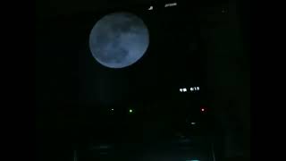 Tetsu sings &quot;Moon Dog&quot; by Prefab Sprout