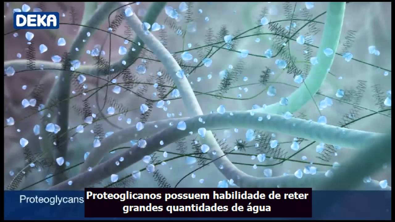 Lidyane Marques De Paula Gomide-19