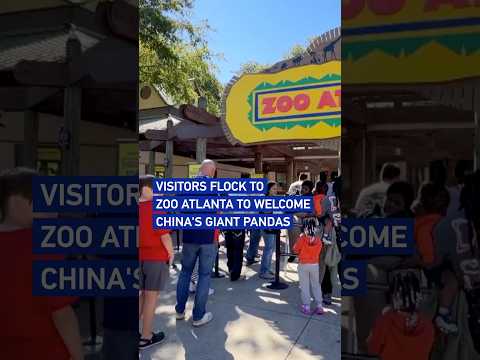 Visitors flock to Zoo Atlanta to welcome China's giant pandas