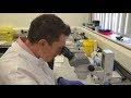 Worms In Space Dr Christopher Gaffney