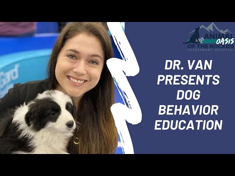 Dog Behavior Education