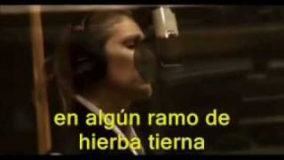 Celine Dion - Making of  &quot;Femme comme chacune&quot; (traducido)