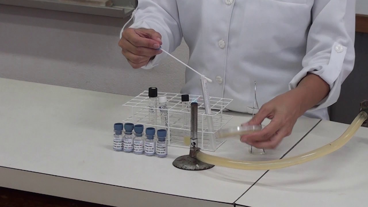 Teste  de Sensibilidade Antimicrobianos - Difusão em Disco