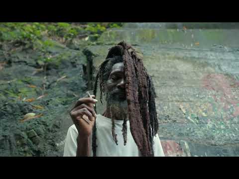 Zodiakk - Take It Easy (Official Music Video)