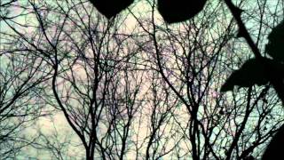 Chris Tomlin - Lovely (and if our God is for us...)