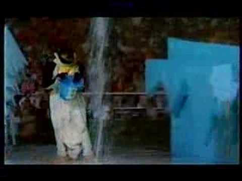 It's a Knockout Penguins