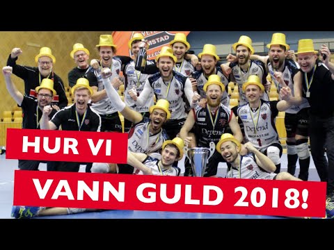Guldminnen: Linköping - Hylte/Halmstad 2018