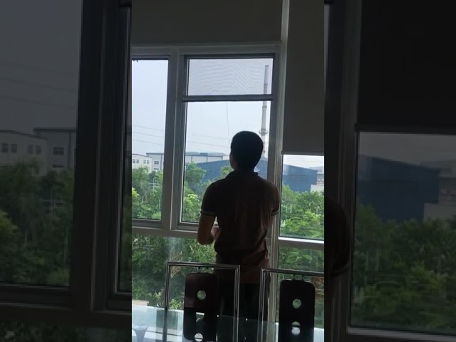 Cửa lưới chống muỗi tự cuốn lên