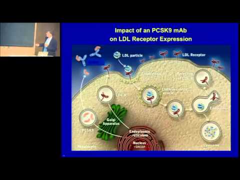 New biology and therapeutic targets for dyslipidemia and atherosclerosis inspired by human genetics