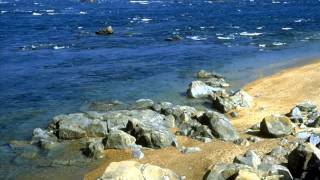 Jim Noir - Eanie Meany 2