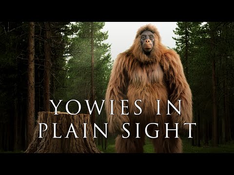 Film Archives: Yowies in Plain Sight | Teaser