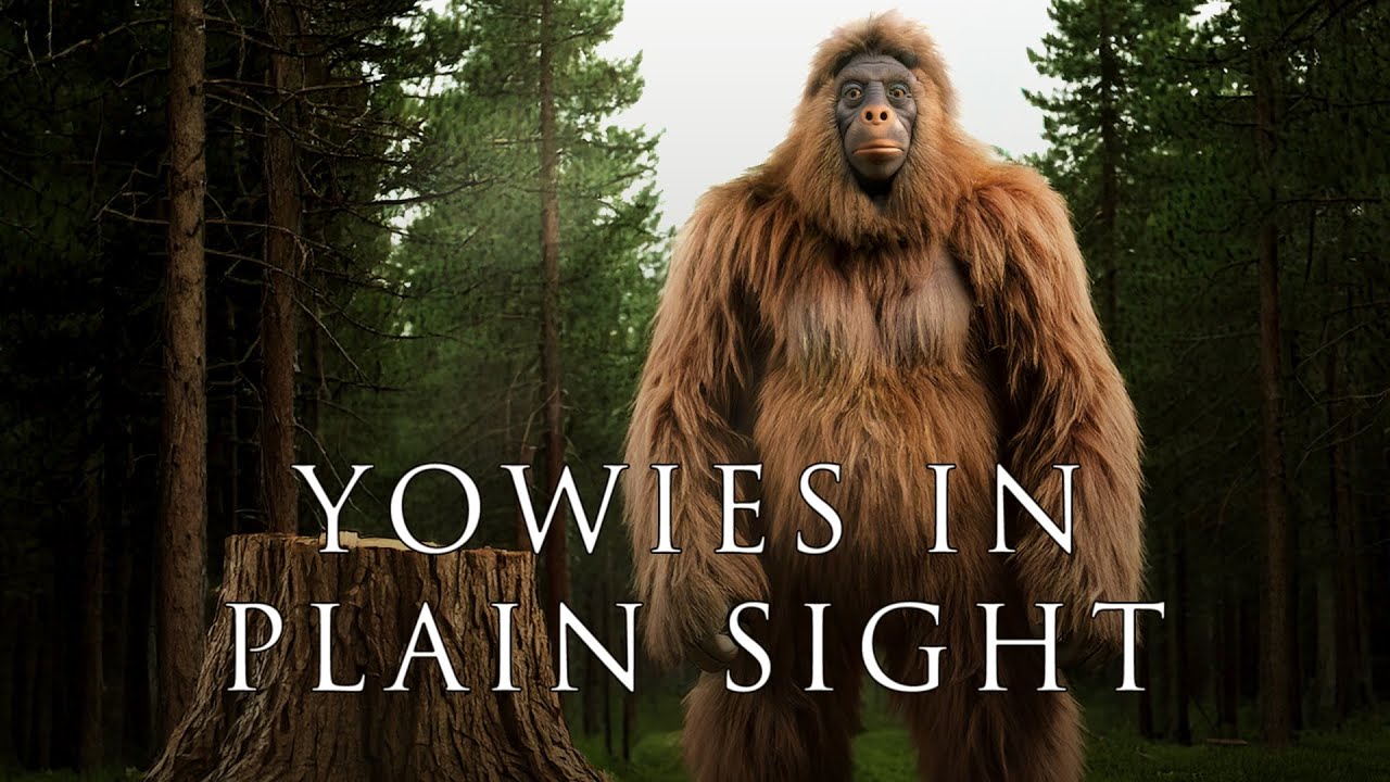 Yowies in Plain Sight