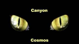 Canyon  - Cosmos (Accelerator remix)