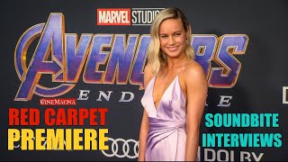Avengers Endgame World Premiere Interview With All Cast Members (2019)
