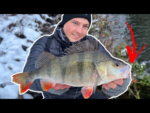 THIS is how you can now easily catch big winter bass!