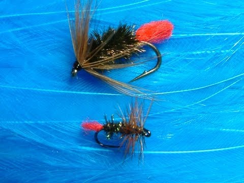 Tying a Red Tag Wet & Dry with Davie McPhail.