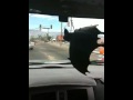 Rubber Bat Ep. 3