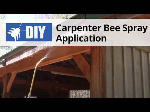  Carpenter Bee Spray Application Video 