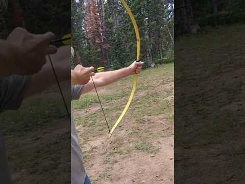 How to Shoot a Bow and Arrow (Beginner's Guide)