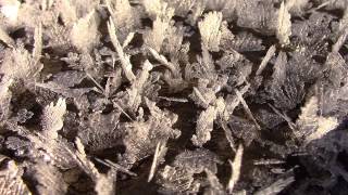 preview picture of video 'Large Frost Cyrstals in the Town of Murphy, North Carolina.'