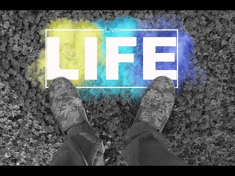 L I F E | Dhruvil