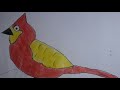 How To Draw Bulbul Bird How To Draw Birds How To Draw Birds For Kids How To Draw Red Whiskered