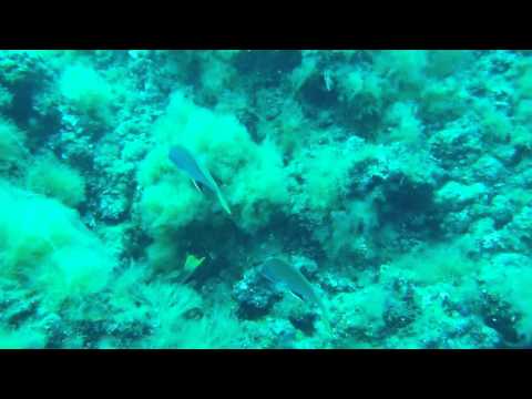 Tor Paterno 4 luglio 2015