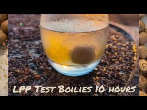 Diesen Boilies ist die Wassertemperatur egal