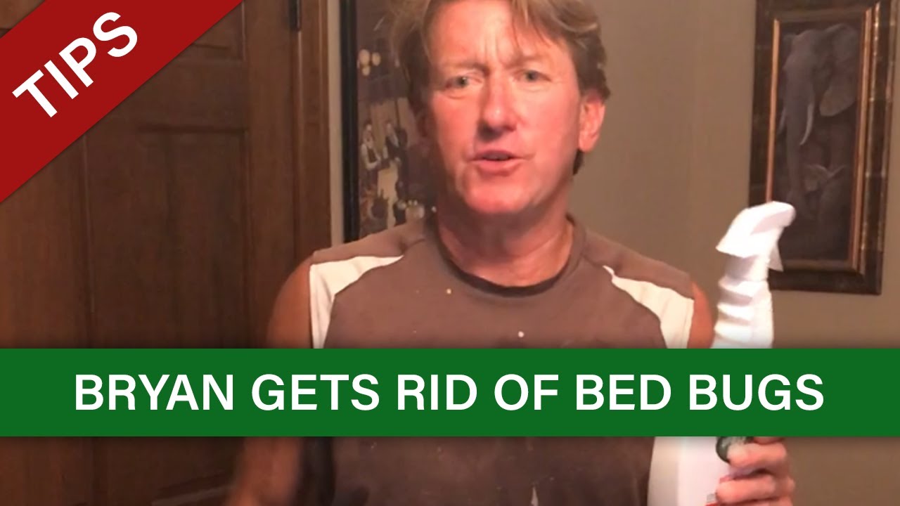 SayByeBugs Review - Bryan