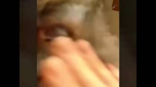 Download lagu Minanglipp mp3