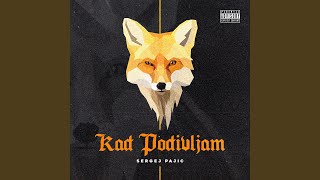 Kad Podivljam